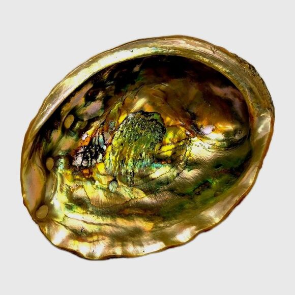 Other - Vintage ABALONE RARE Golden Green Iridescence Shell  Footed Bowl Dish MCM